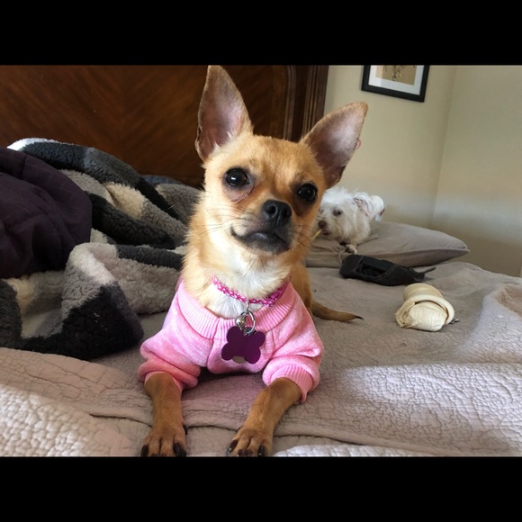 Meet your Posher, Kim - Picture 1 of 3